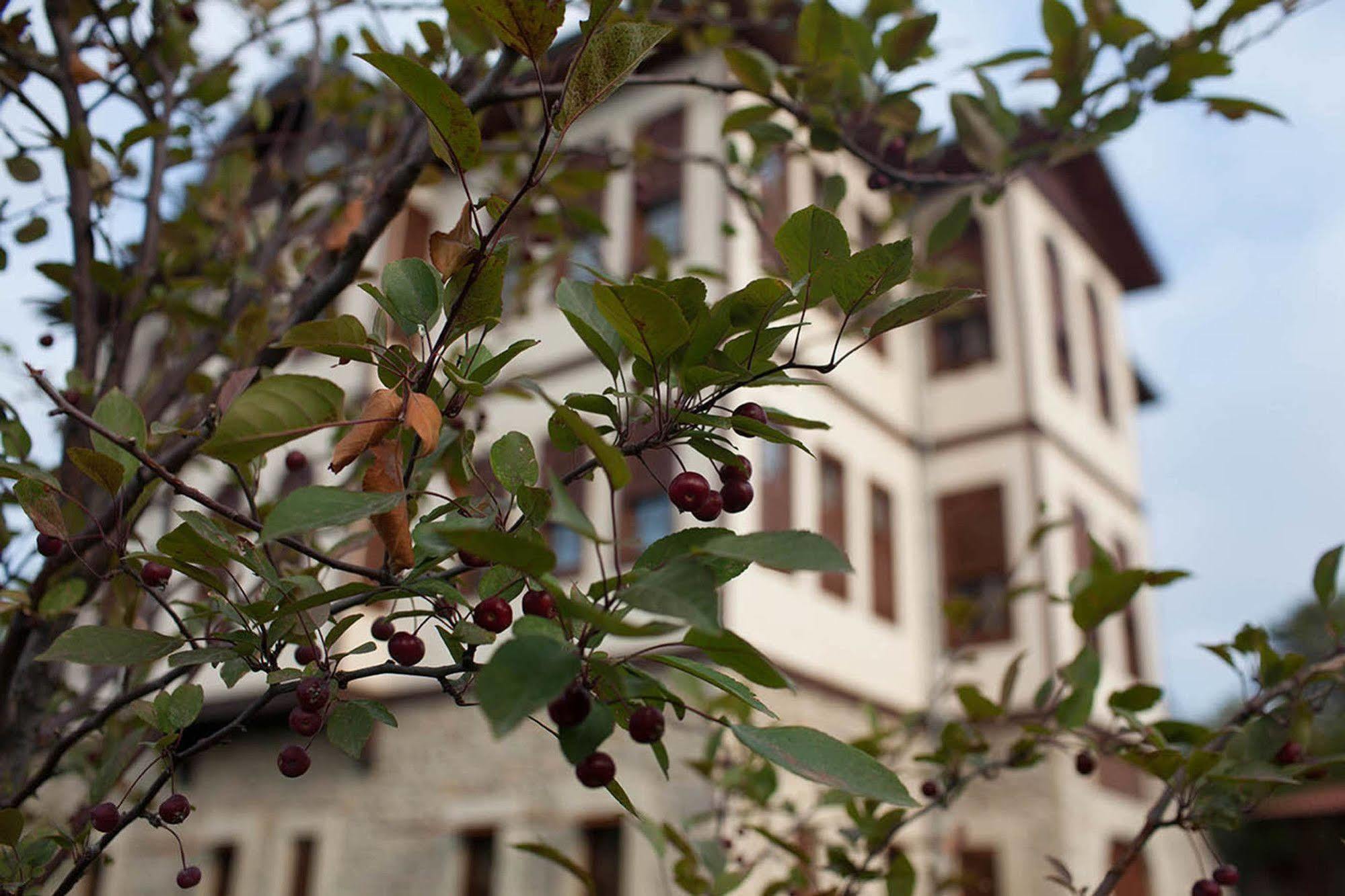 Pacacioglu Bag Evi Otel Safranbolu Dış mekan fotoğraf